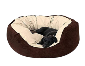 Best Dog Beds Online India 2021