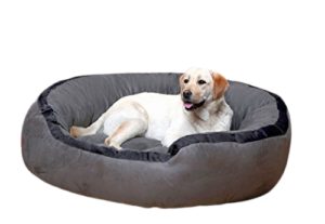 Best Dog Beds Online India 2021