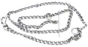 best sturdy dog leash India 2021