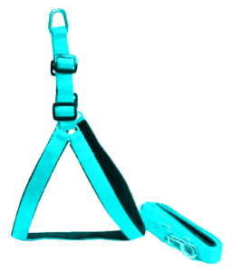 best sturdy dog leash India 2021