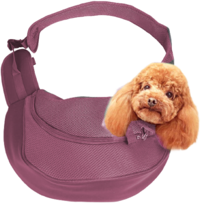Best Cheap Dog Carriers In India 2021