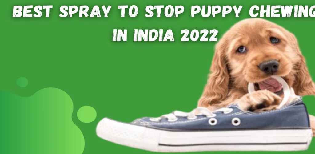 Best Spray To Stop Puppy Chewing in India 2022