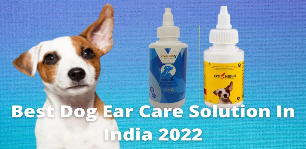 Best Dog Ear Care Solution In India 2022