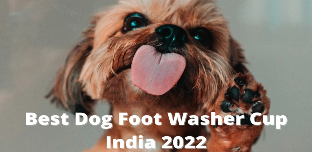 Best Dog Foot Washer Cup India 2022