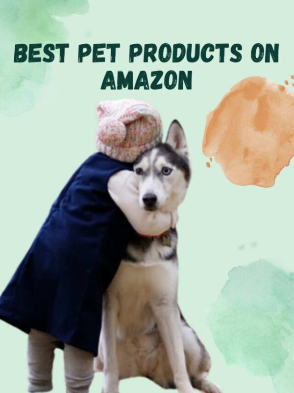 Ferret Price in India 2022 Ultimate Guide Top Pet Products