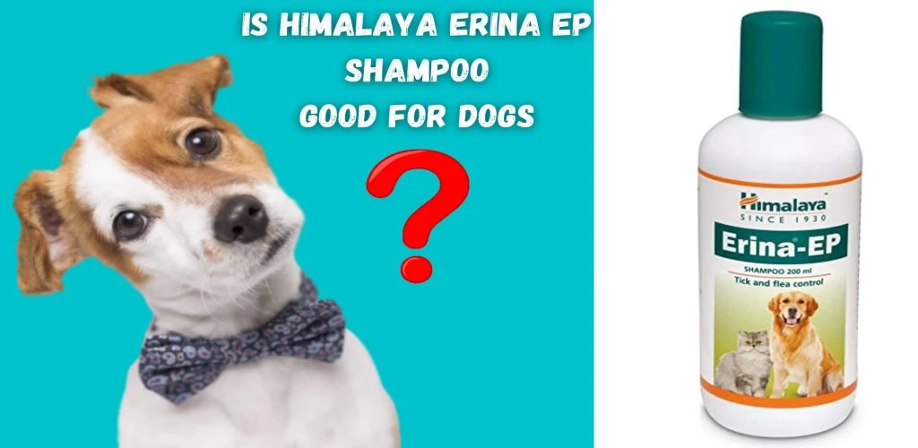 Is Himalaya Erina EP shampoo good for dogs